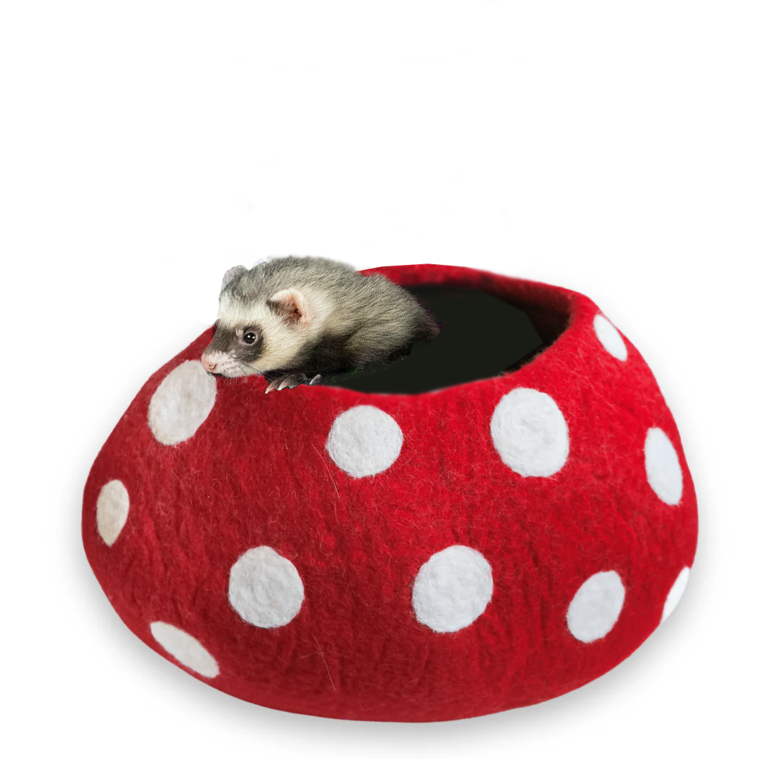 Comfy Ferret Cave (Mushroom)