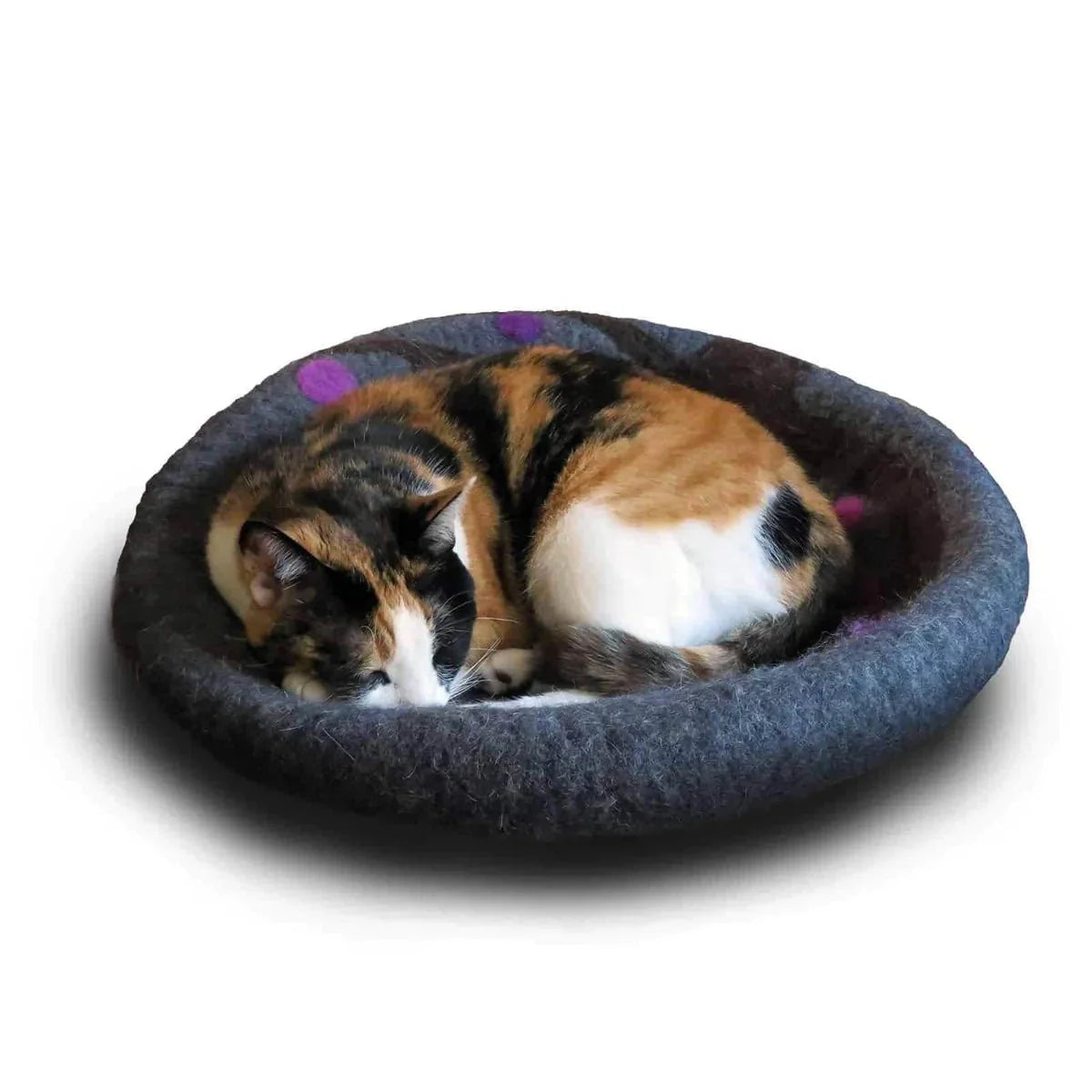 Comfy Ferret Cave (Midnight Stars)