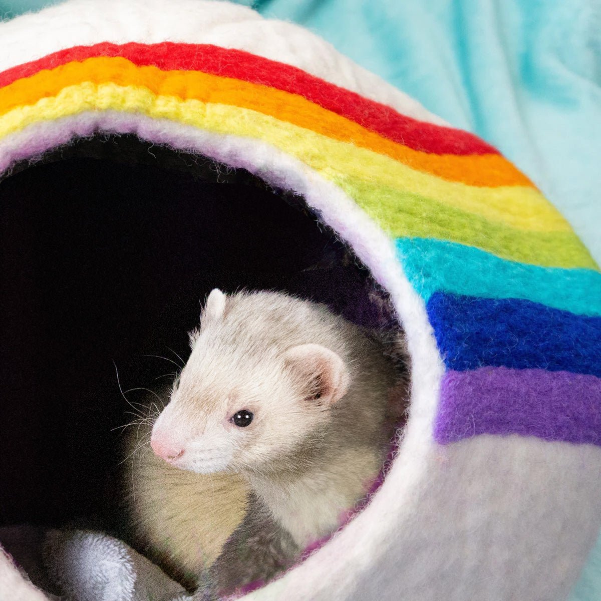 Comfy Ferret Cave (Rainbow Love)